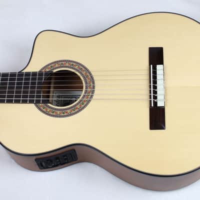 NEW Cathedral Model 107CEL 7-String Classical Harp Guitar w/Spruce Top, Pickup, Cutaway, w/SoftCase image 1