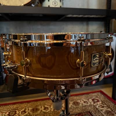 Canopus 5x14 Zelkova image 6