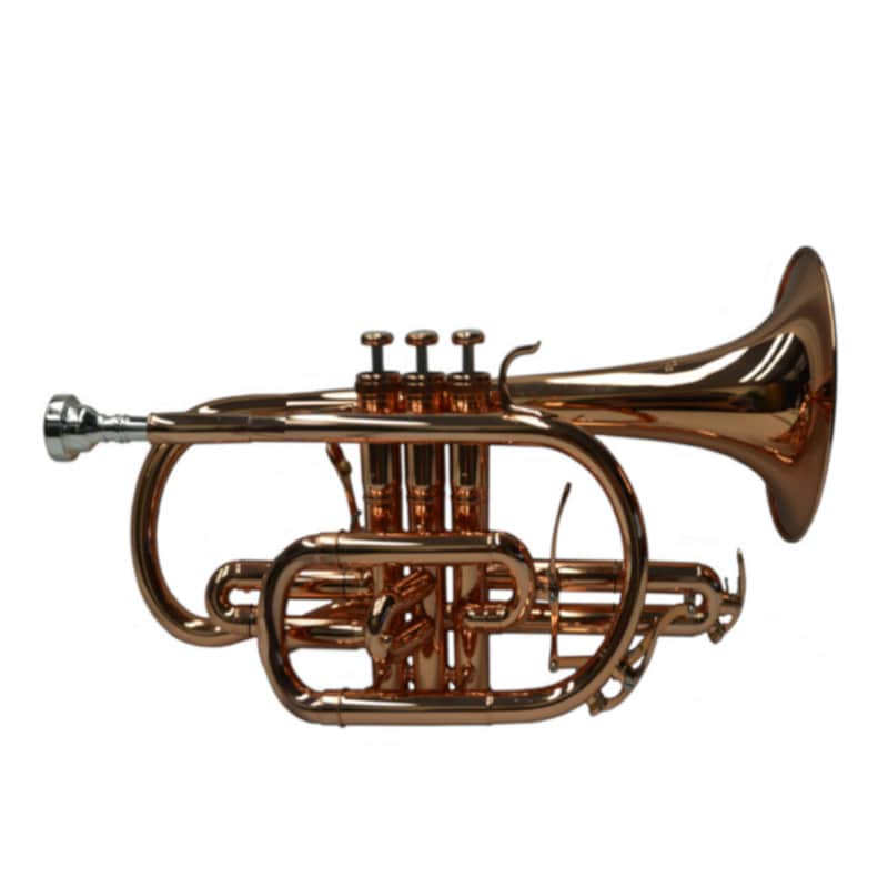 Schiller Shepherds Crook Pro Cornet w/Trigger image 1