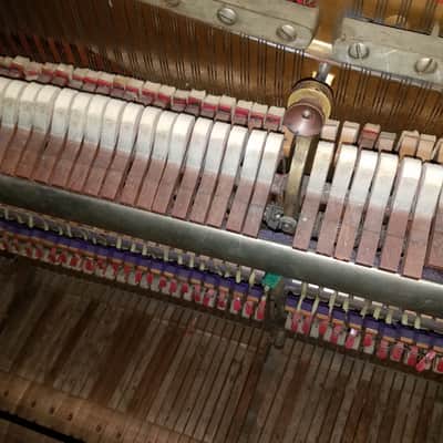 1910 Steinway Vertegrand: Mahogany OBO image 2