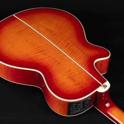 【美品】希少赤カラー Takamine エレアコ　NPT-115 Takamine NPT-115-6 NT 長渕剛 JAPAN-MODEL 中古 131834 Takamine