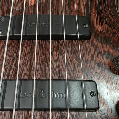Ibanez SR5006E OL TEAM J. CRAFT Prestige Case Queen 2009-2010 Custom USA Bartolini SR5006 SR 5006 6 Six String Bass Guitar image 24