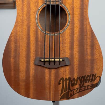 Gold Tone M-Bass Micro 23" Scale Acoustic/Electric Bass- Fretted image 1