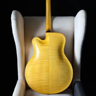 Bozo Podunavac 17" Acoustic Archtop with Calton Case image 2