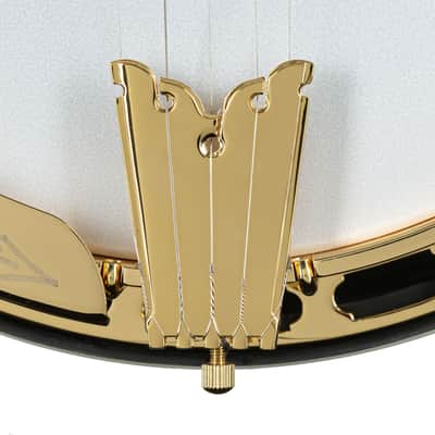 Epiphone Earl Scruggs Golden Deluxe Banjo - Banjo image 9