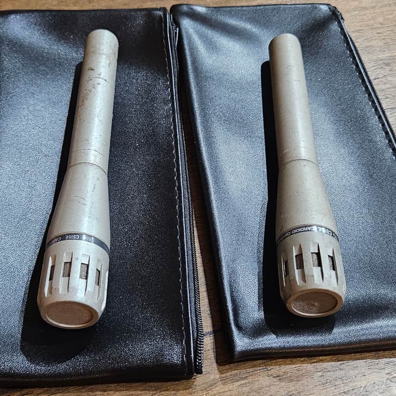 1970s Electro-Voice CS15E Powder coated silver