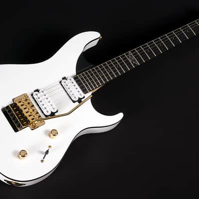 Washburn PXM-DP10WH David Palau Signature Double Cut Solid Body 6