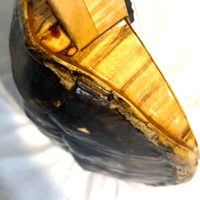 Turtle Shell Tenor Ukulele image 6