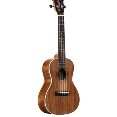 Alvarez RU90CP Regent Concert Ukulele Pack (Semi Gloss) image 2