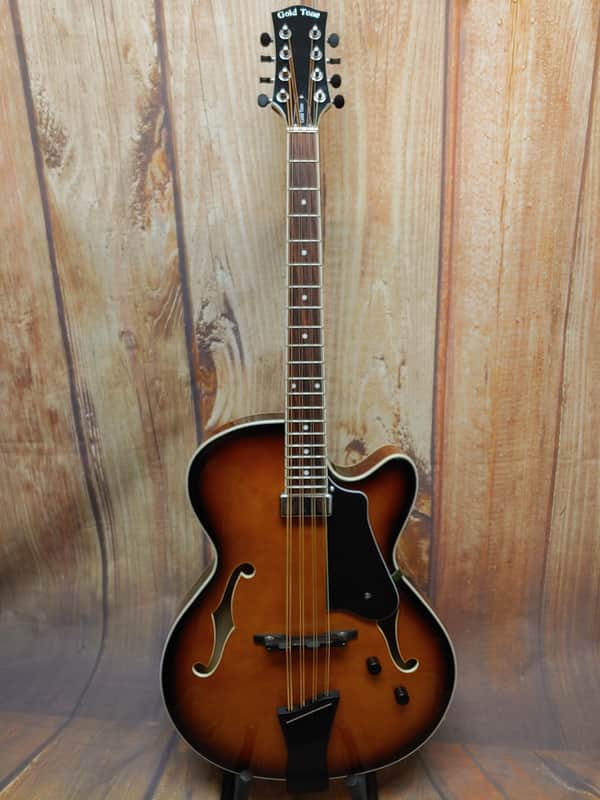Gold Tone MandoCello 2025 image 1