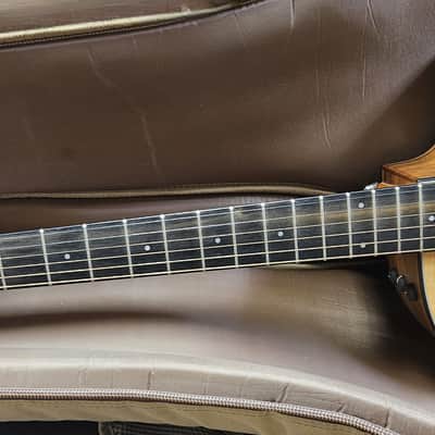 Taylor 114ce - 2018 - Natural image 4