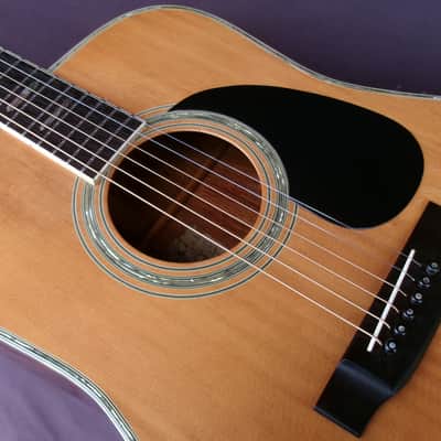 1976 Yairi YW-600 Dreadnought Guitar New Jacaranda + Vintage Hard Case image 21