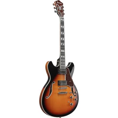 Ibanez Artstar Standard AS113-BS 6-String Semi Hollow Body Electric Guitar with Macassar Ebony Fretboard, Right-Handed, Brown Sunburst image 6