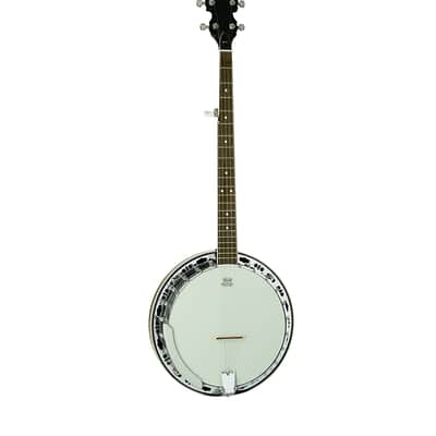 Washburn B11 5-String Resonator Banjo - Americana Series image 1