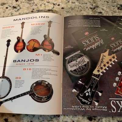 Washburn Guitar Catalog 1993 image 13