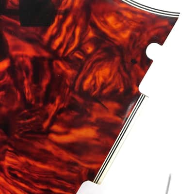 Gibson Byrdland pickguard 1967 image 5