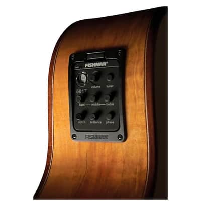 Washburn WCG66SCE Comfort Series Grand Auditorium with Electronics image 5