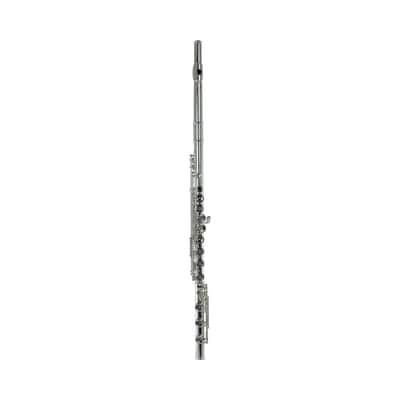 John Packer JP211RBE Key of C Flye (Open Hole & B-Foot) w/Leatherette Hard Case, Cleaning Rod & Cloth image 1