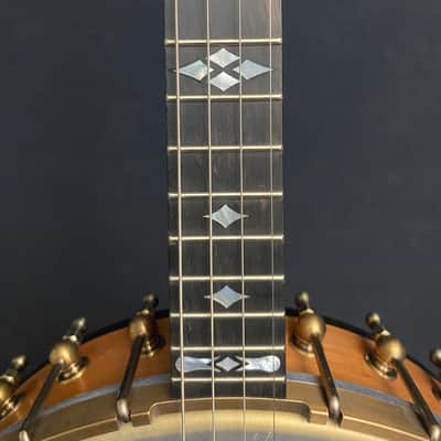 Immagine OME Wicklow Irish Tenor Banjo - 5