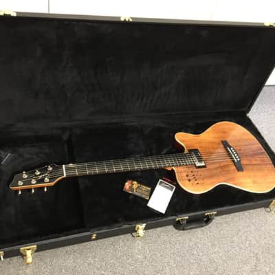 Godin Hardshell Case #007028 - Fits A6, A12, Encore, SA & Duet, Multiac Ambiance, ACS, & A11, A-6, A-12 image 2