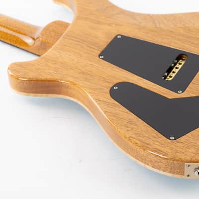 PRS Custom 24 2025 - Carroll Blue image 19