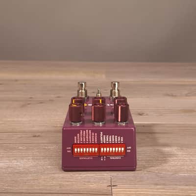 Chase Bliss Brothers AM (USED) image 4