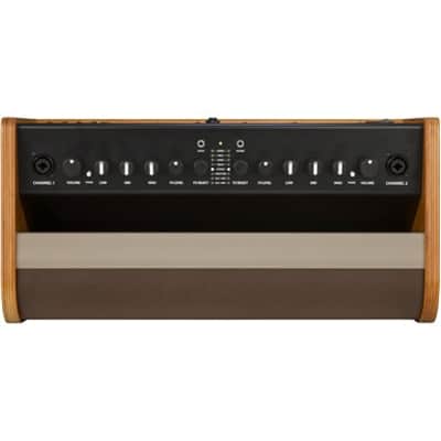Fender Acoustic Guitar Amp, 100 Watts, with 2-Year Warranty Bluetooth Speaker, 8 Inch Full-range Speaker, 14Hx18.5Wx9.25D inches, Wood, Natural Blonde image 4