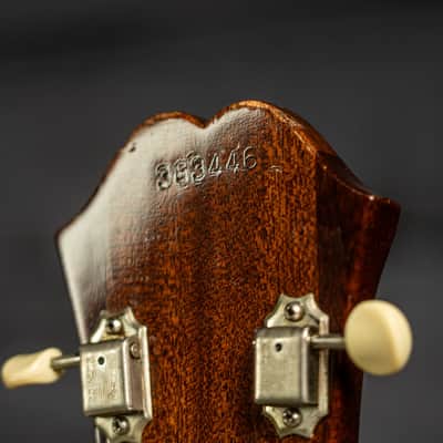 Epiphone Sorrento E452T 1966 image 18