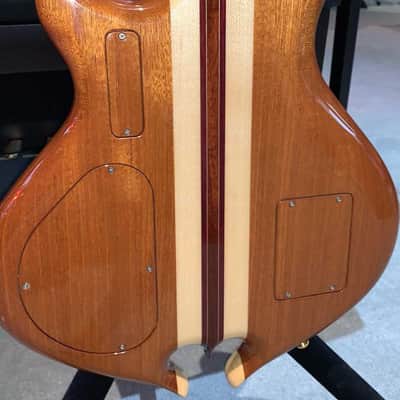 Alembic Darling (Pre-Owned) image 7