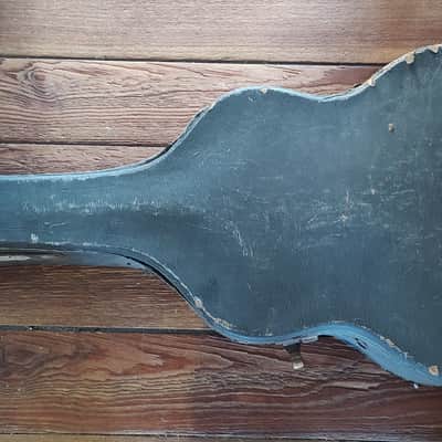Old Lifton Guitar Case image 1