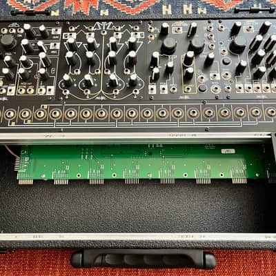 Make Noise B&G Shared System Voice with 2024 QMMG and Original Wood Case image 9