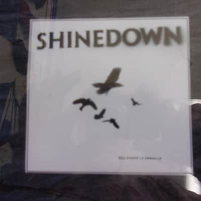 Shinedown Hand Signed & Framed Guitar Pick Guard image 5