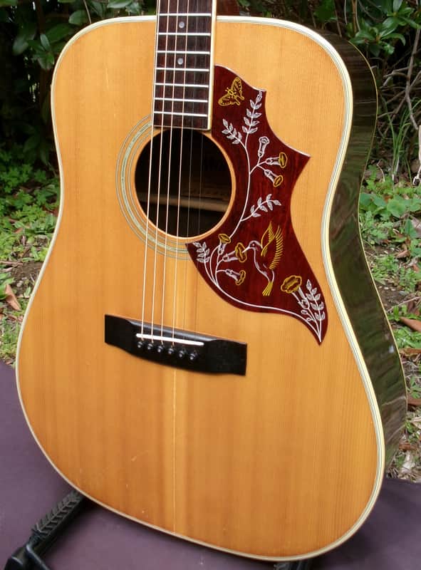 1974 Terada made Morris W25 Humming Bird Style image 1