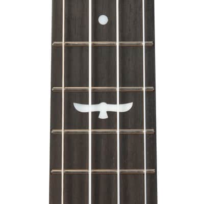 Kala Brand Revelator Night Owl Acacia Tenor Electro Ukulele KA-OWL-ACA-TE image 7