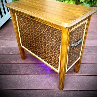 Rotary Connection 1x12 cab. Lights up! 16 ohm speaker. MCM vintage style. 2026 - Wood image 8