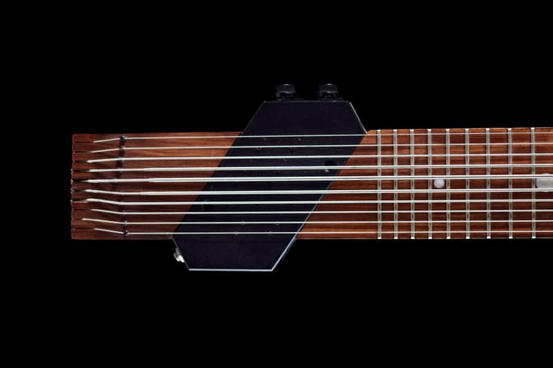 Chapman Stick 10 String Bild 1