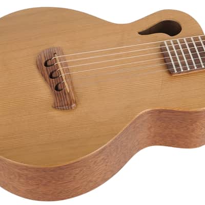 2004 Tacoma Papoose Acoustic image 6