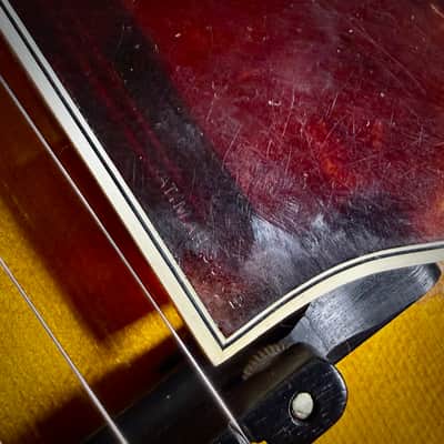 1924 Gibson L-5 - Lloyd Loar Signed - Owned and Played by David Grisman image 12