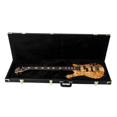 Spector Euro Series NS 4 & 5 String Harshell Case image 3