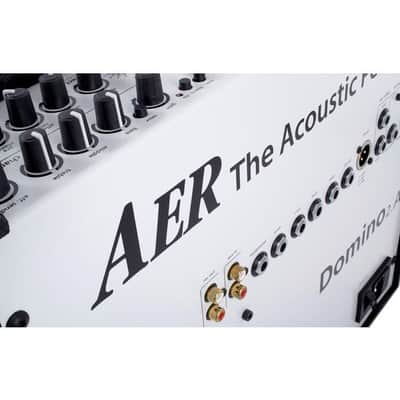AER Domino 2A | 100W 2x8" +Tweeter Acoustic Combo. New with Full Warranty! image 11