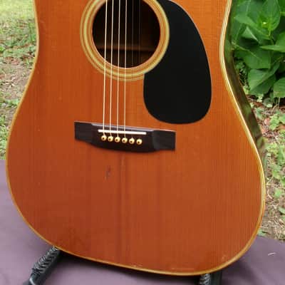 Takamine Elite TW60  Brazilian Rosewood '70 Natural+Hard Case image 7