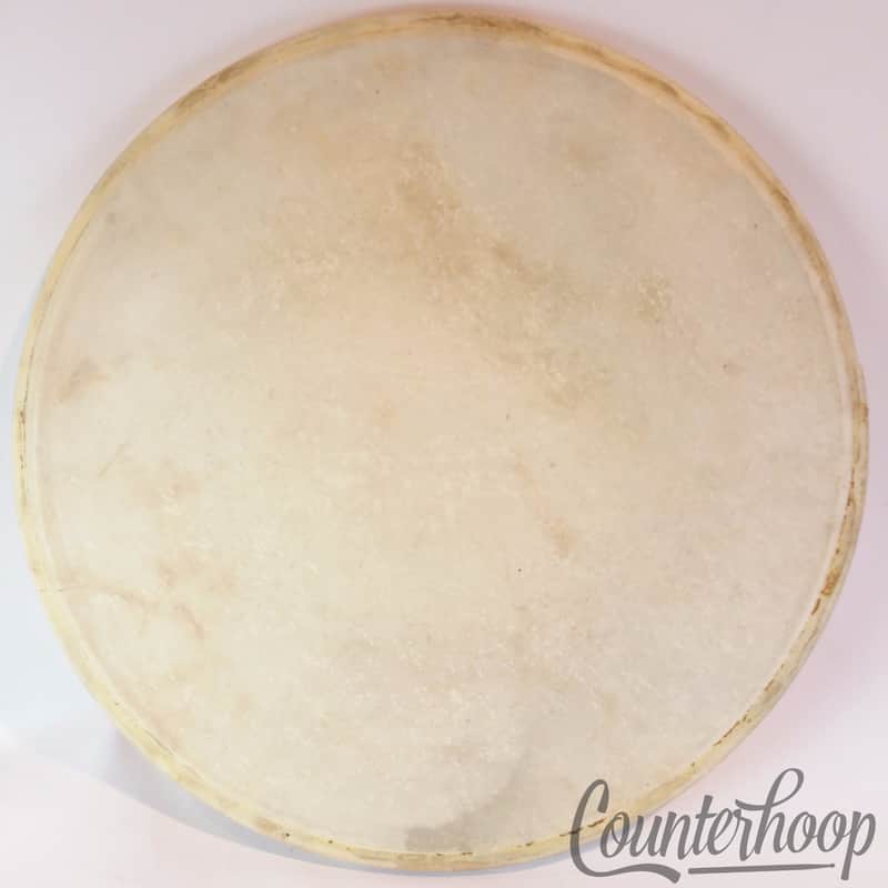 ?*Ludwig 13" Calf Skin Tom/Snare Drum Head Calfskin Batter Side Vintage 30s-40s* image 1