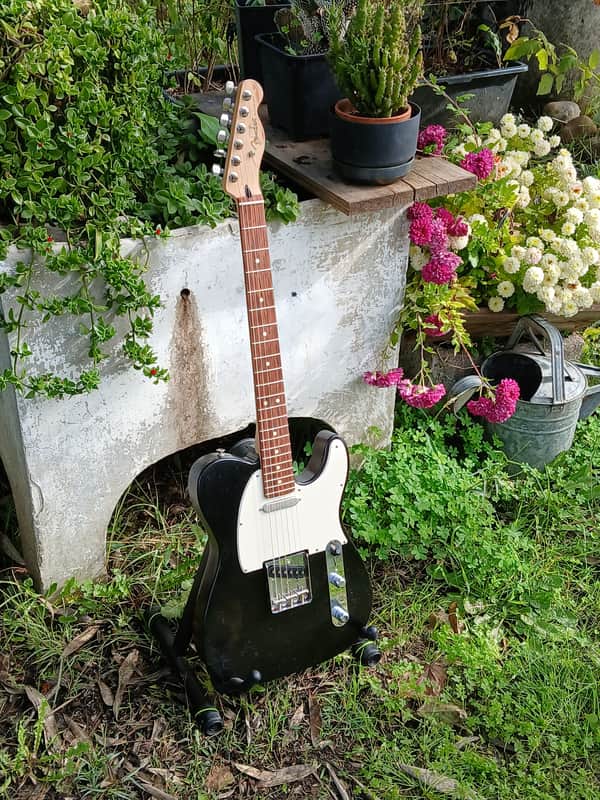 Fender Player Telecaster with Pau Ferro Fretboard 2018 - Present - Polar White image 1