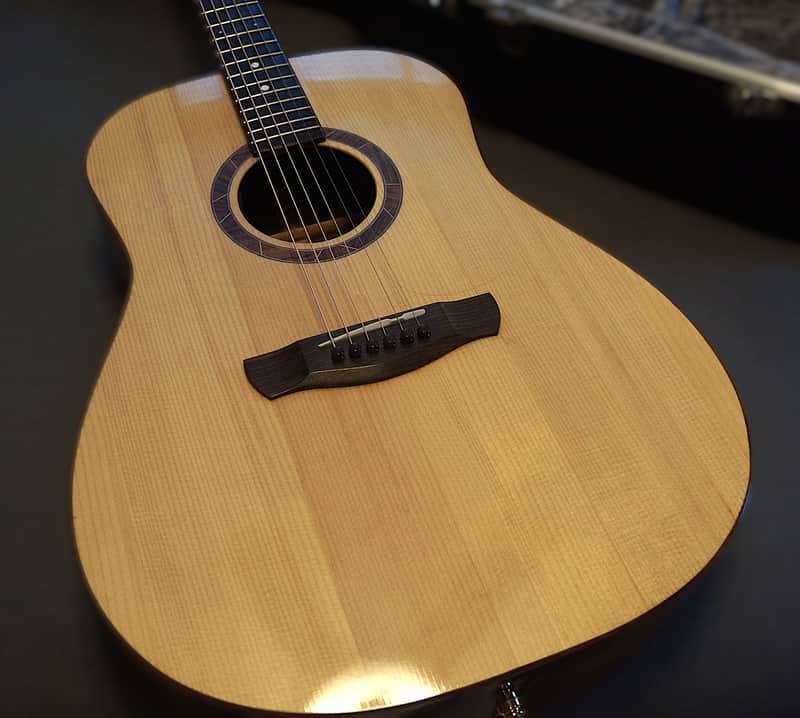 Peterson D-100 MY (2021) USA Handbuilt Boutique Acoustic Dreadnought - Fishman Matrix Infinity, OHSC image 1