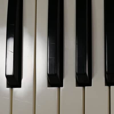 KORG Polysix image 25