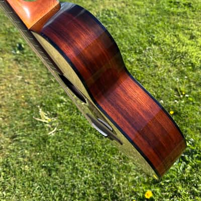 McNally Brazillian Rosewood P 12 Fret 2023 - Gloss body with satin Neck image 5