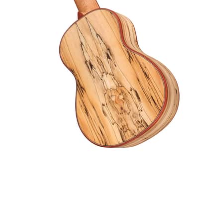 Cordoba 24S Spruce Soprano Ukulele - Natural Finish image 4