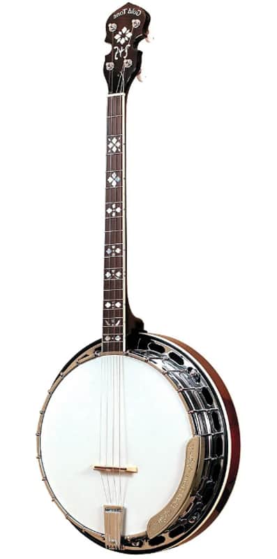 Gold Tone TS-250/L Tenor Special 4-String Banjo w/Hardshell Case For Left Handed Players image 1