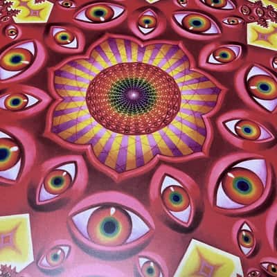 Evans Danny Carey / TOOL 22” Fear Inoculum "Tondo"  Ver. #1 Bass Drum Head image 5