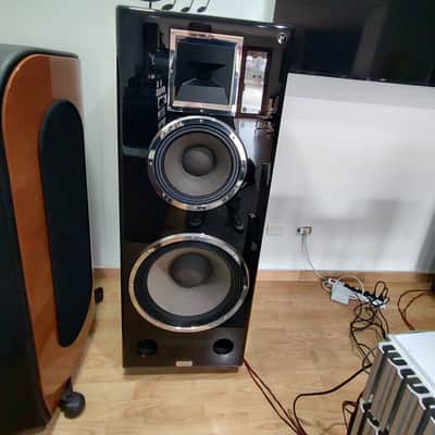 DANIEL HERTZ MARK LEVINSON M1 REFERENCE + 4 TELIKOS M5 + M6 2016 image 12